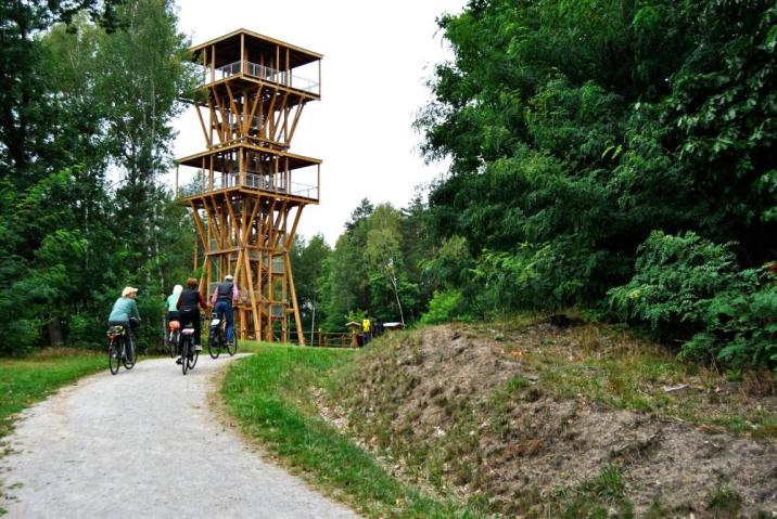 Widok&#x20;na&#x20;drewnianą&#x20;wieżę&#x20;na&#x20;trasie&#x20;geoturystycznej&#x20;&#x22;Dawna&#x20;Kopalnia&#x20;Babina&#x22;&#x2c;&#x20;niedaleko&#x20;Łęknicy&#x2c;&#x20;fot&#x2e;&#x20;Assist&#x20;Media&#x20;&#x28;Archiwum&#x20;Nadleśnictwa&#x20;Lipinki&#x29;