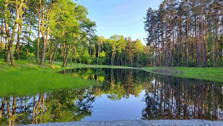 Retencja&#x20;wody&#x20;w&#x20;lesie&#x2f;&#x20;fot&#x2e;&#x20;arch&#x2e;&#x20;Nadleśnictwa&#x20;Zielona&#x20;Góra